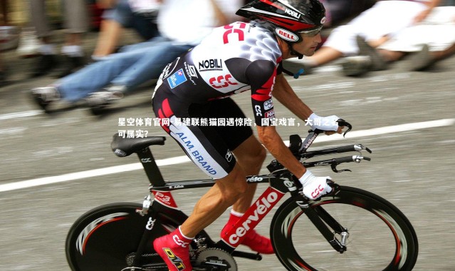 星空体育官网-易建联熊猫园遇惊险，国宝戏言，大哥之名可属实？