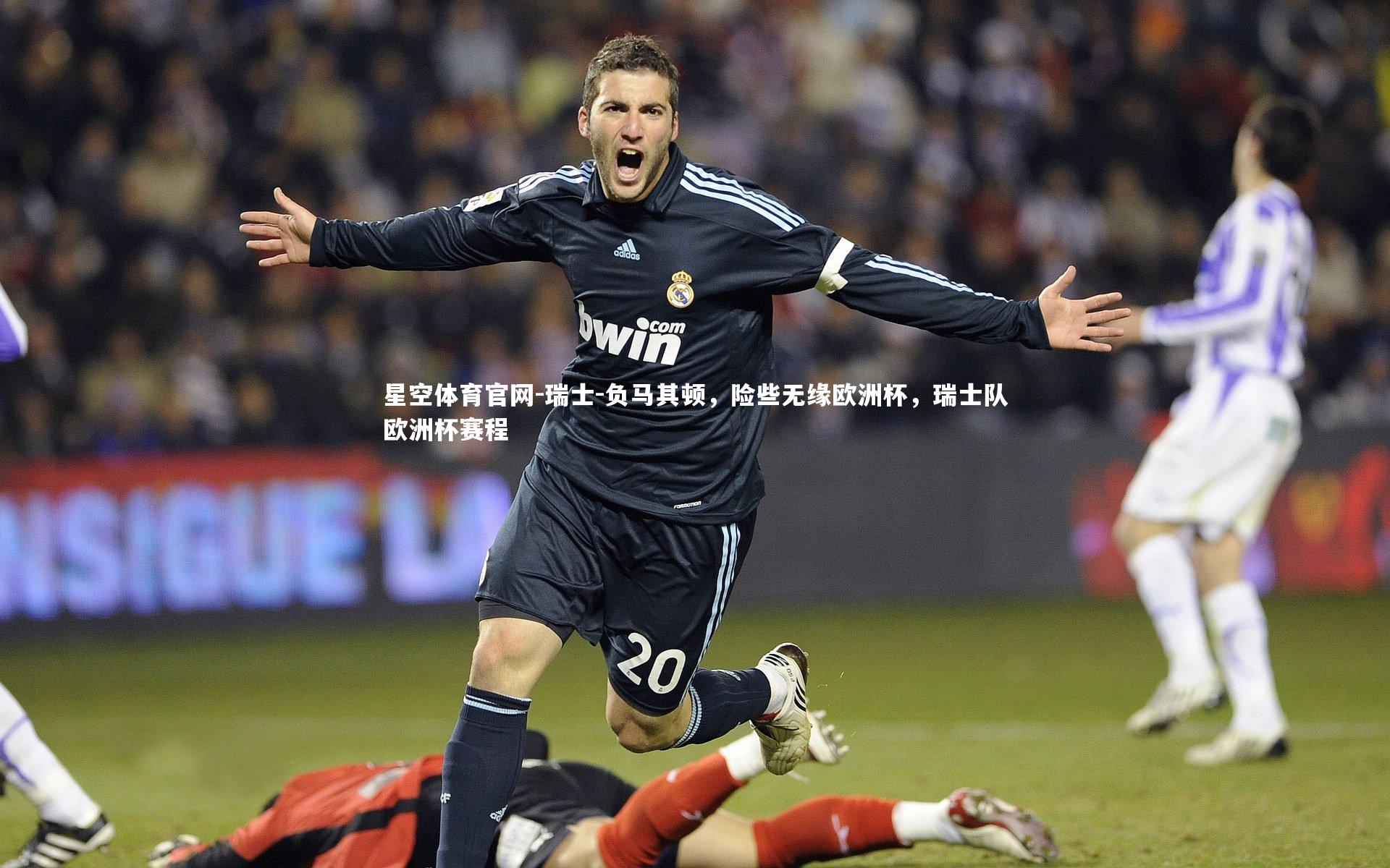 瑞士-负马其顿，险些无缘欧洲杯，瑞士队欧洲杯赛程