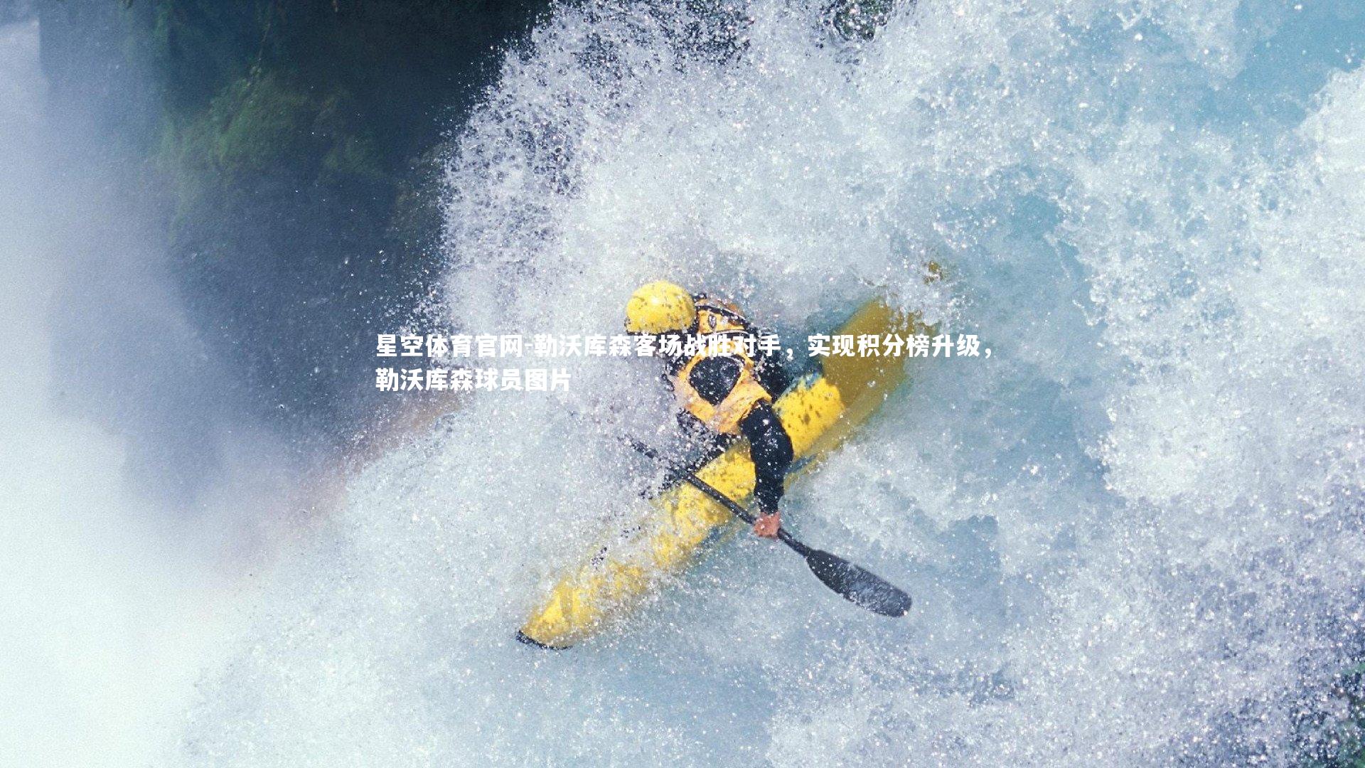 勒沃库森客场战胜对手，实现积分榜升级，勒沃库森球员图片