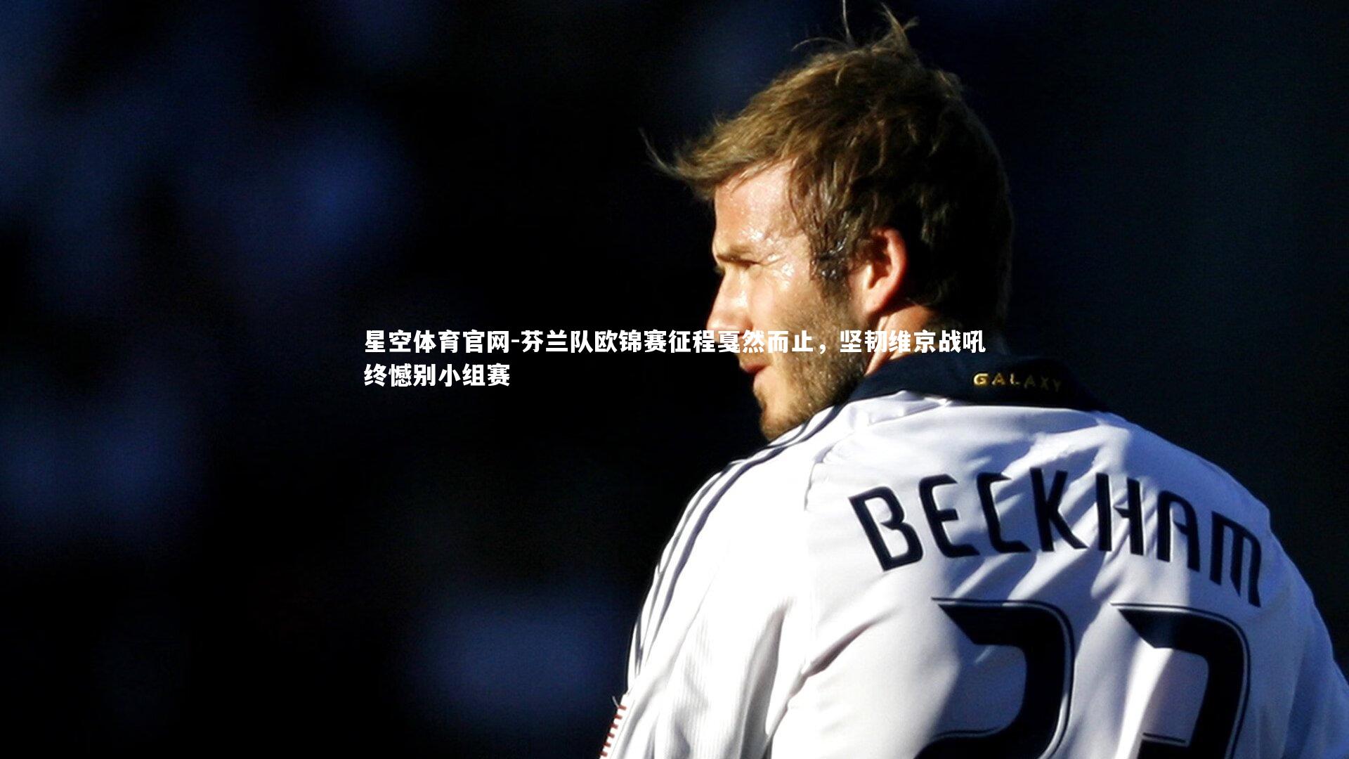 芬兰队欧锦赛征程戛然而止，坚韧维京战吼终憾别小组赛